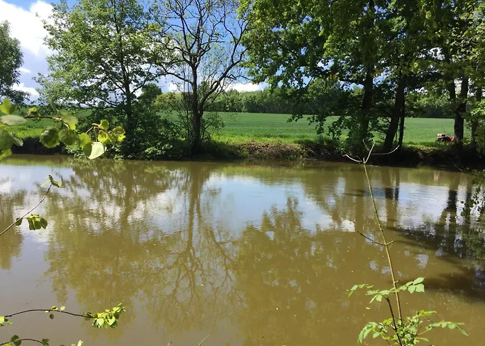 Le Bois Guillaume Domfront-en-Champagne